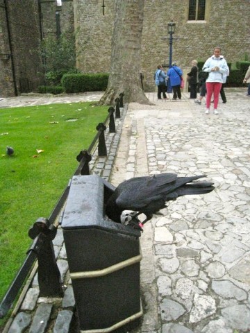 img-7300